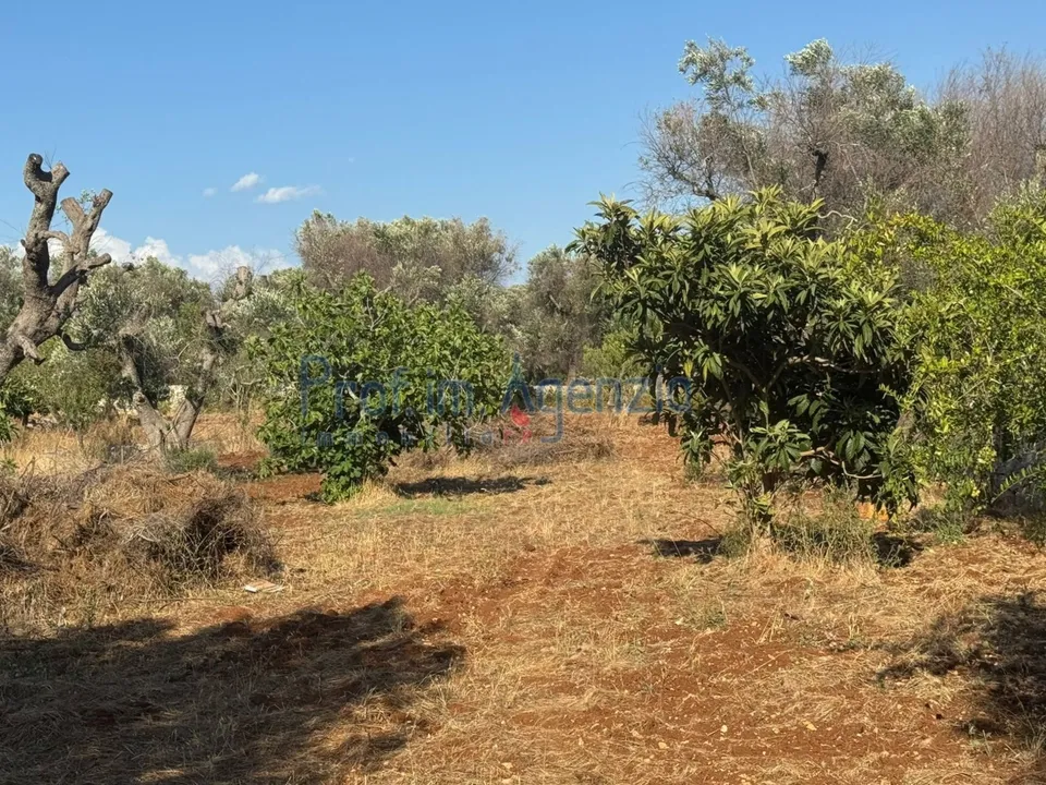 Helårsgrund i San Vito dei Normanni, Brindisi - foto 2